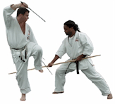 Karate Kobudo Tai Chi