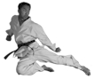 Karate Kobudo Tai Chi