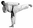 Karate, Jiu Jitsu, Aikido, Self Defence