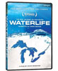 Waterlife