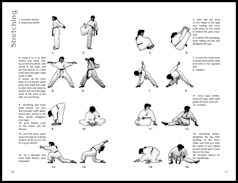 hard karate moves